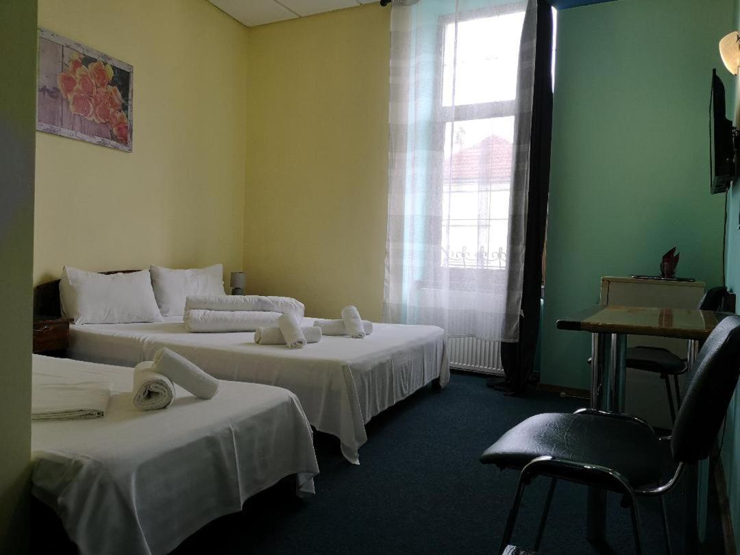 Pension Flamingo Брашов Экстерьер фото