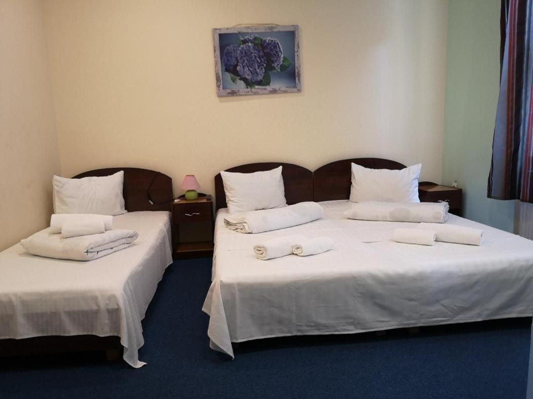 Pension Flamingo Брашов Экстерьер фото